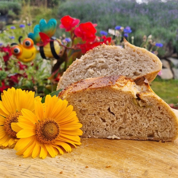 pasieka_brzezinskich_bochenek z oliwkami_s.jpg